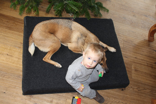 Hundekissen aus 100% Wollwalk (zertifiziert nach Ökotex Standard 100) dunkelgrau 80 x 100 - Einzelstück. Hand